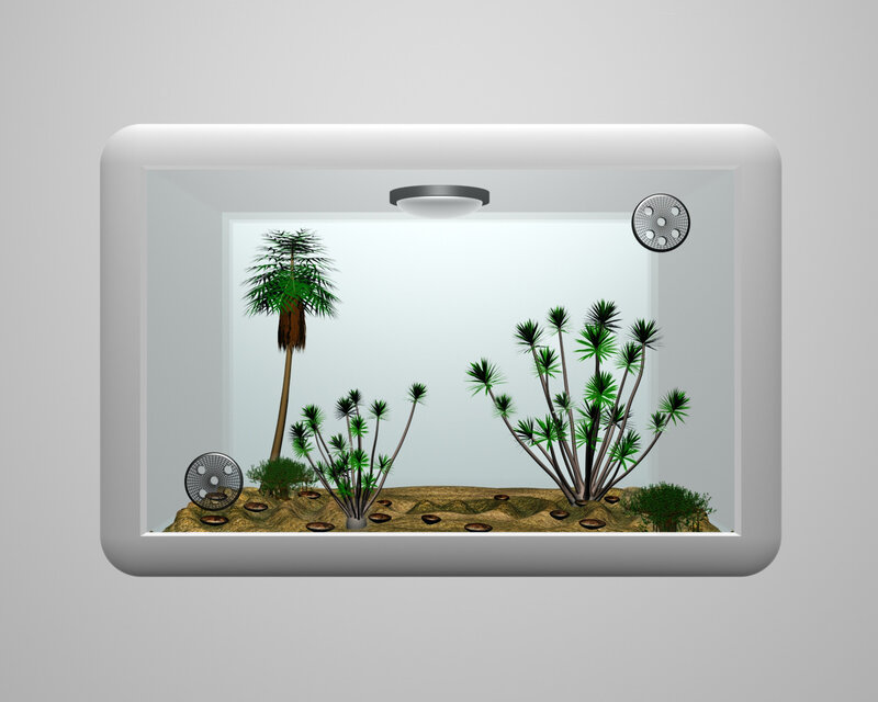 digital terrarium scene