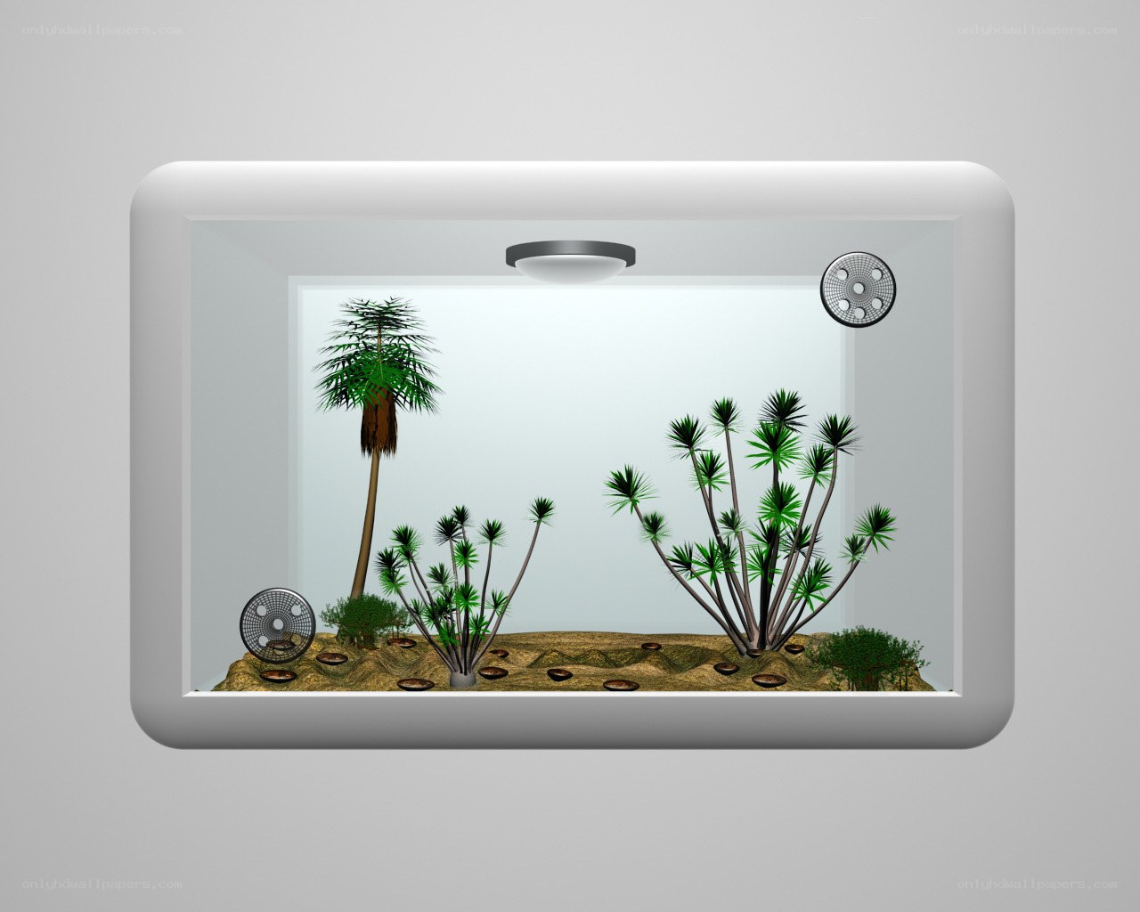 digital terrarium scene