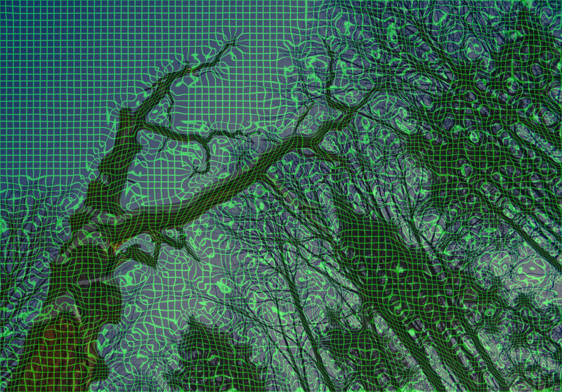 digital tree mesh overlay