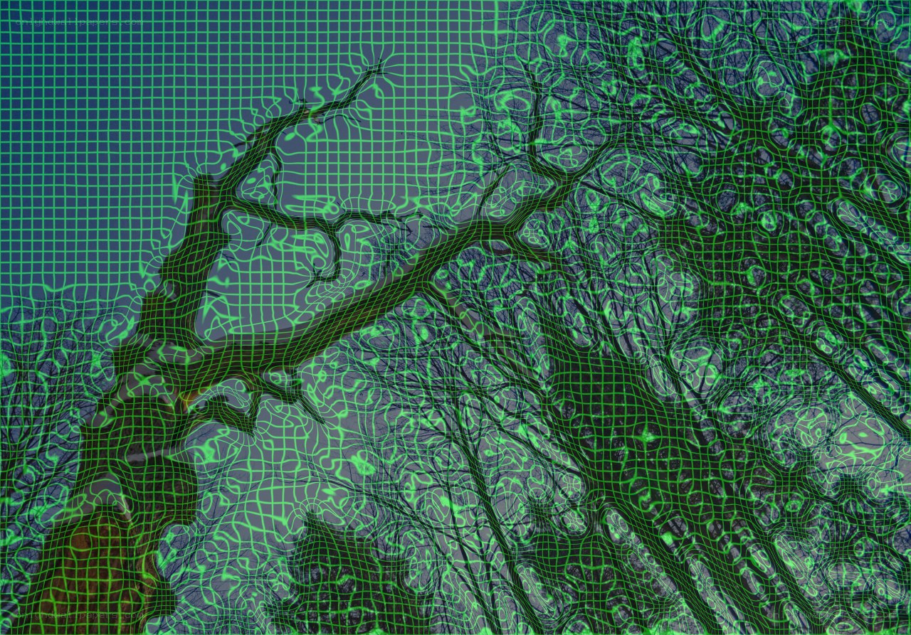 digital tree mesh overlay