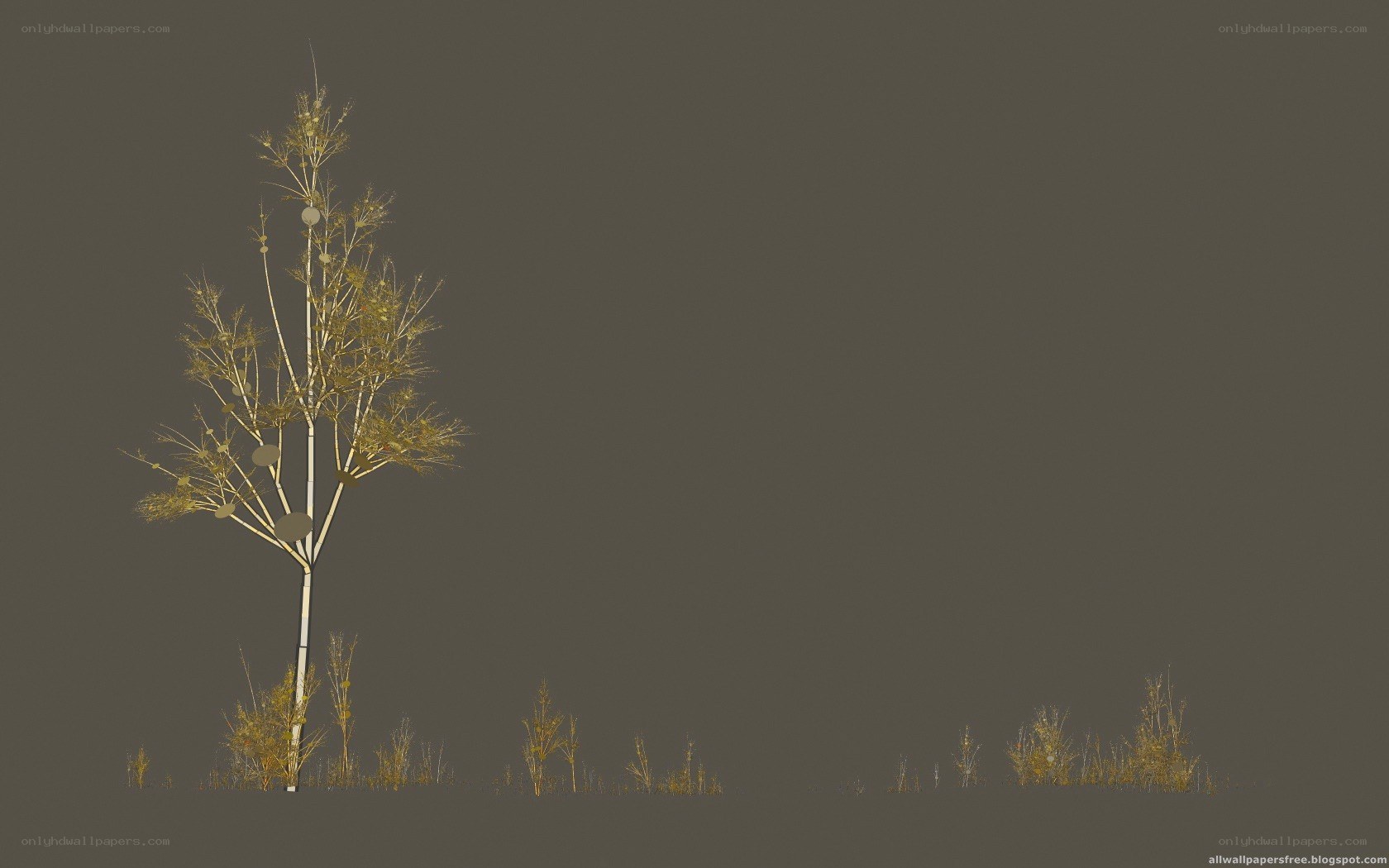 digital tree model on gray