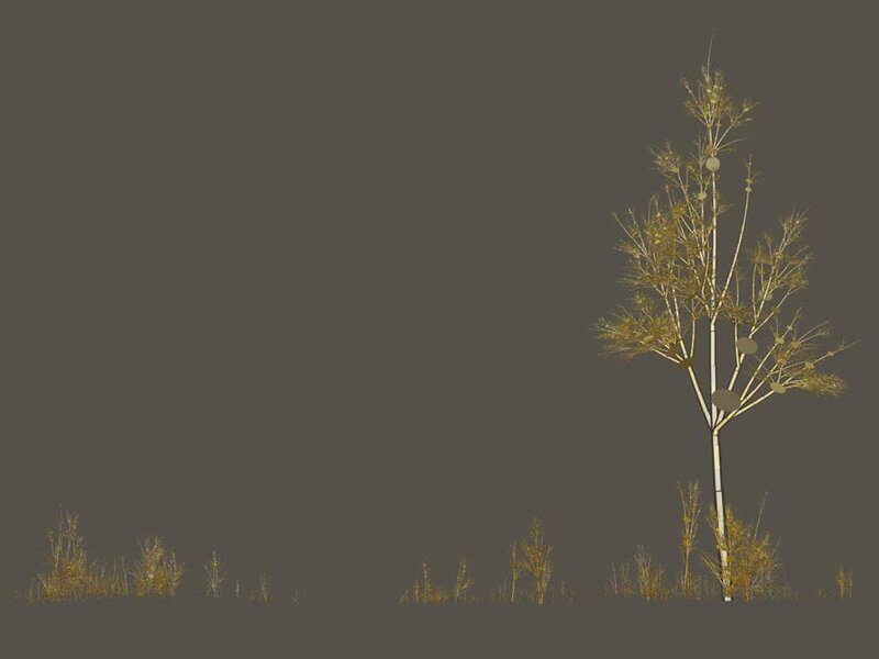digital tree model