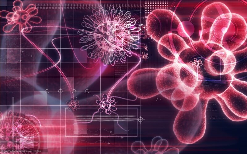 Digital virus and cell network
