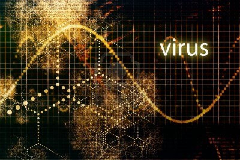 Digital Virus Representation