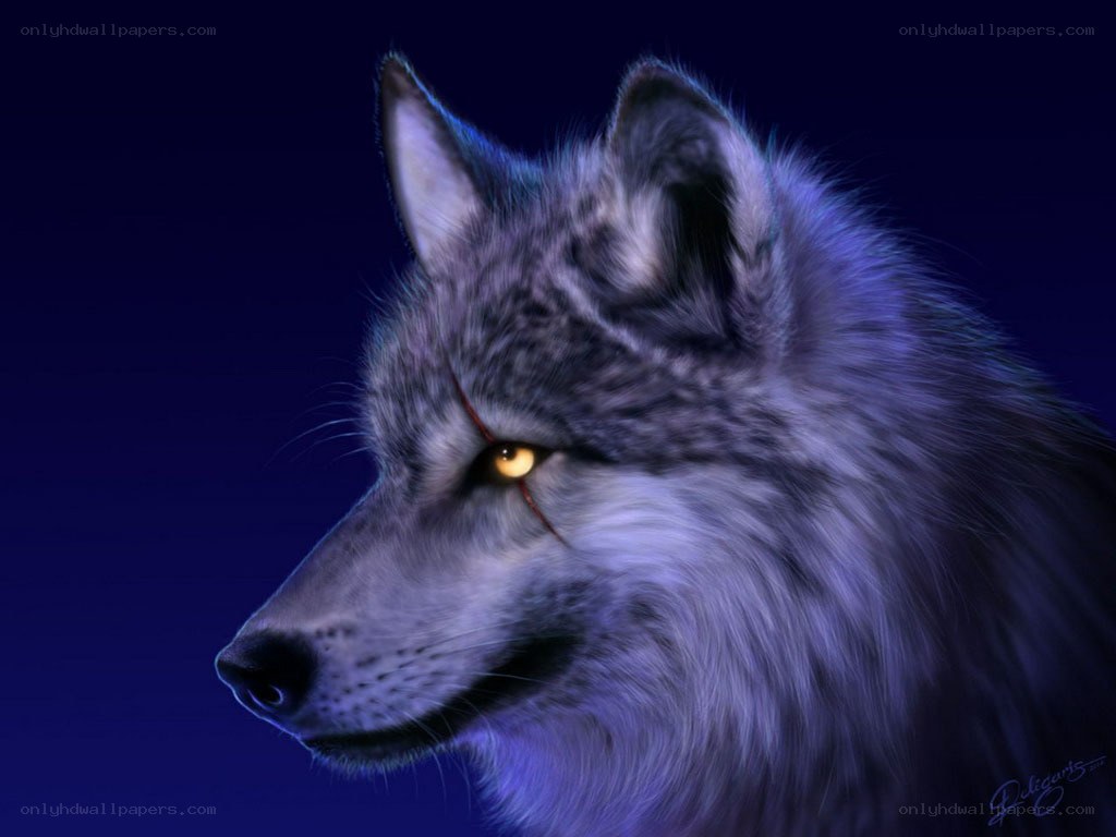 digital wolf portrait
