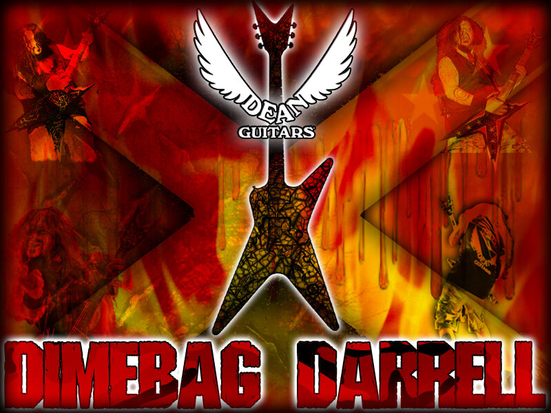 Dimebag Darrell guitar tribute
