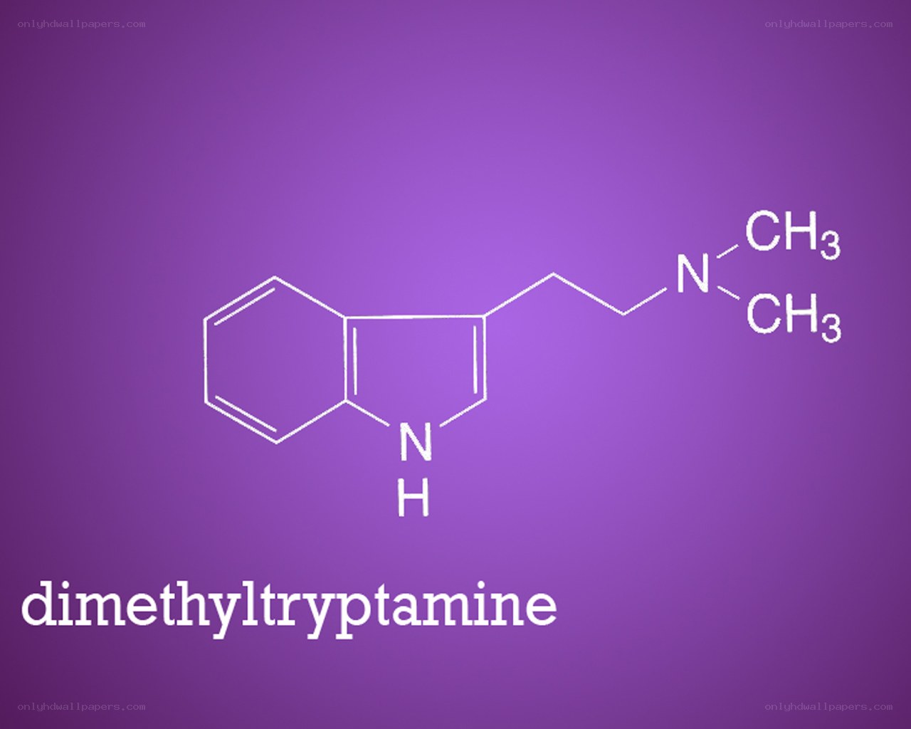 dimethyltryptamine chemical structure