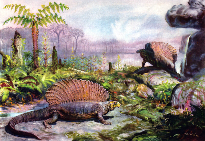 Dimetrodon in prehistoric landscape