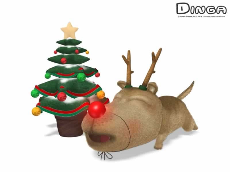 Dinga the reindeer with Christmas tree