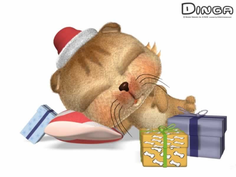 Dinga with gifts