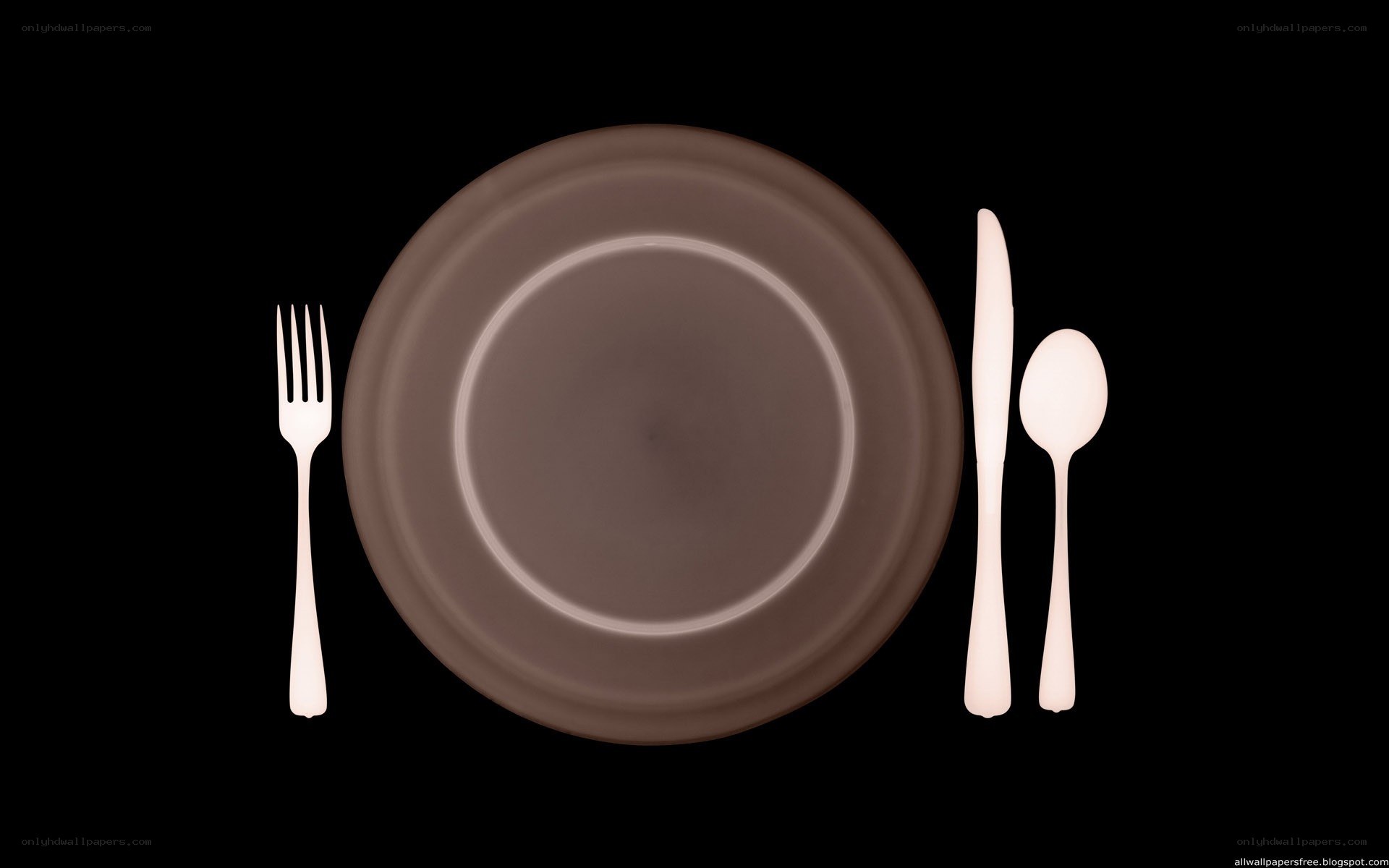 dinner plate with cutlery