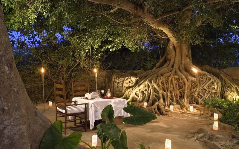 Dinner Table under Tree — Green