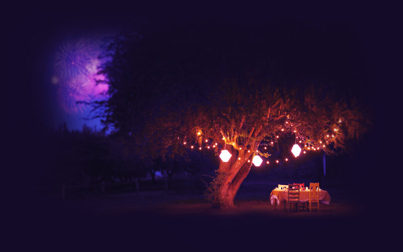 Dinner Table under Tree — Purple