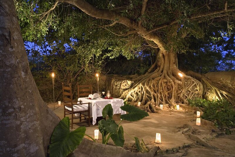 Dinner Table under Tree