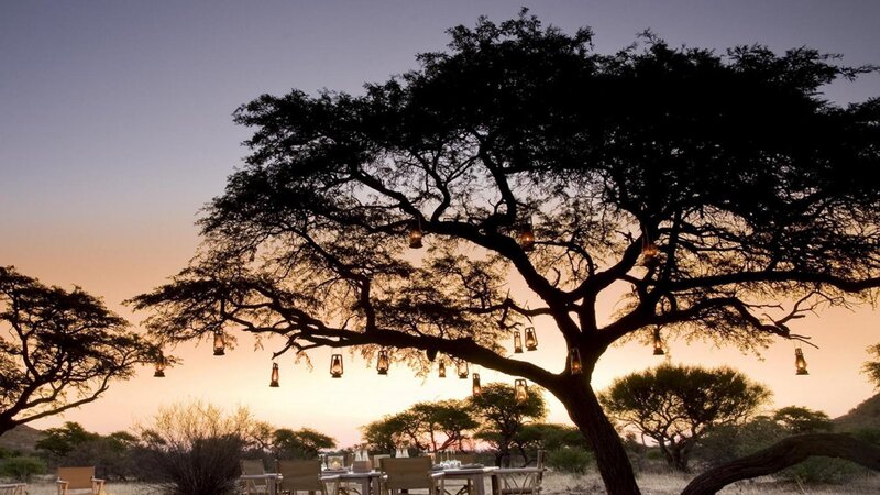 Dinner under Acacia Tree — Orange, Serene