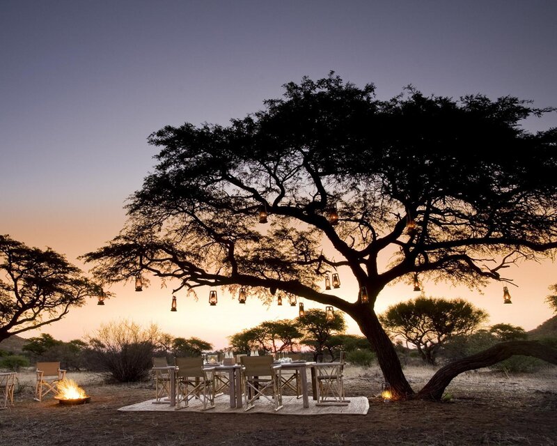 Dinner under Acacia Tree — Orange
