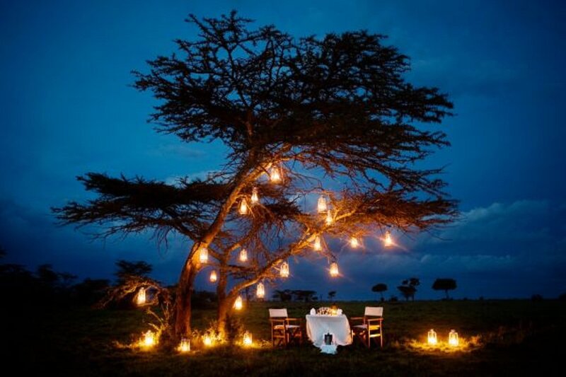 Dinner under Acacia Tree