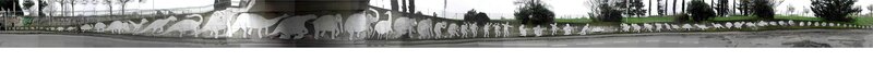 Dinosaur and Human Evolution Mural