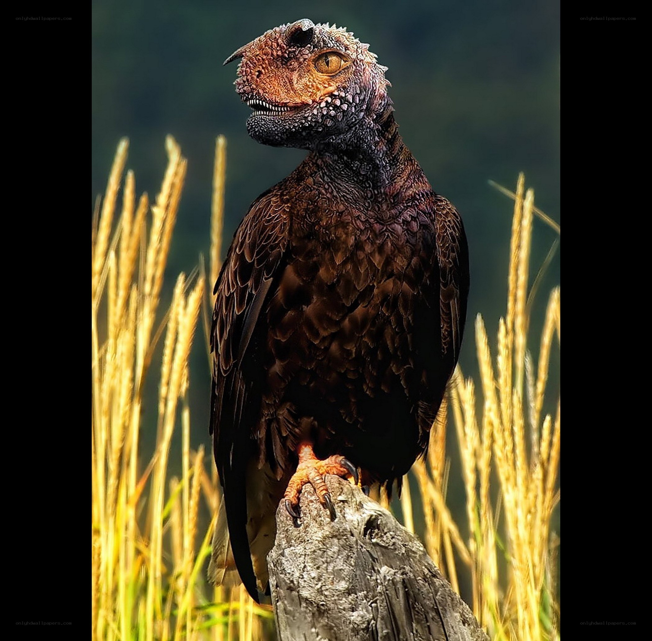dinosaur bird hybrid