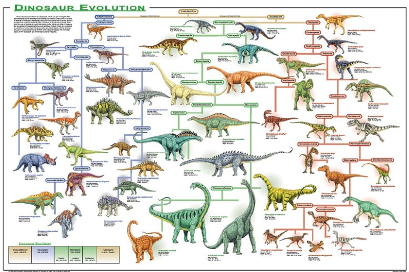 Dinosaur Evolution Chart