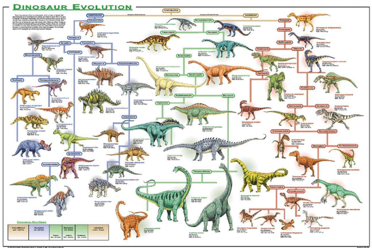 Dinosaur Evolution Chart
