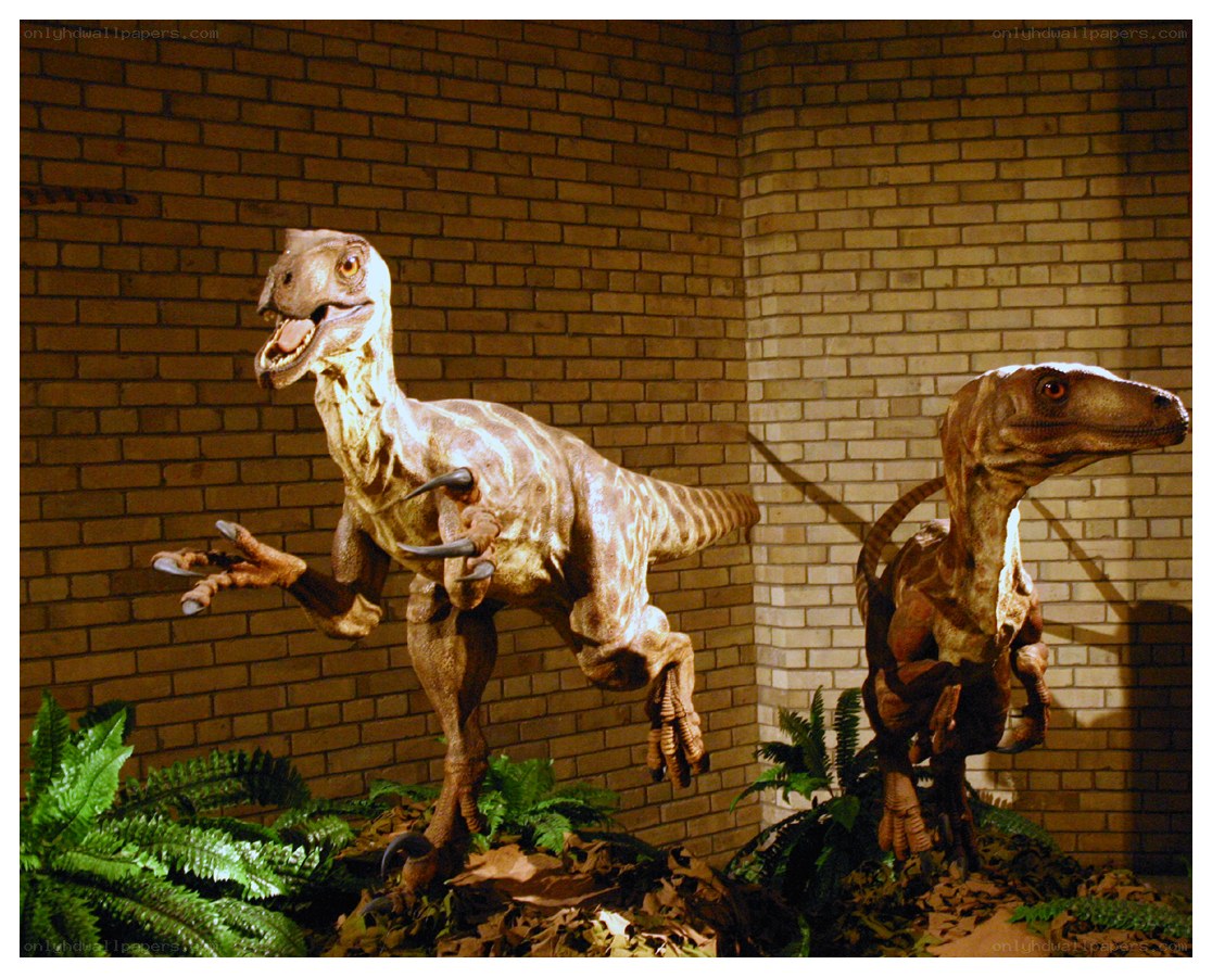Dinosaur exhibit display