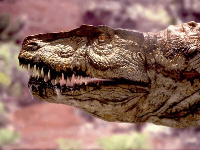 dinosaur head close-up