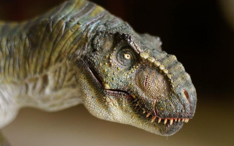 Dinosaur Head Model — Green