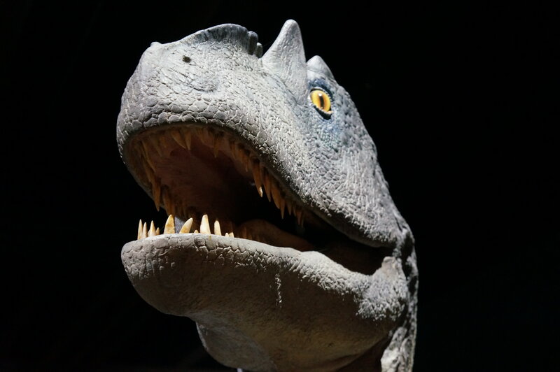 Dinosaur Head Model