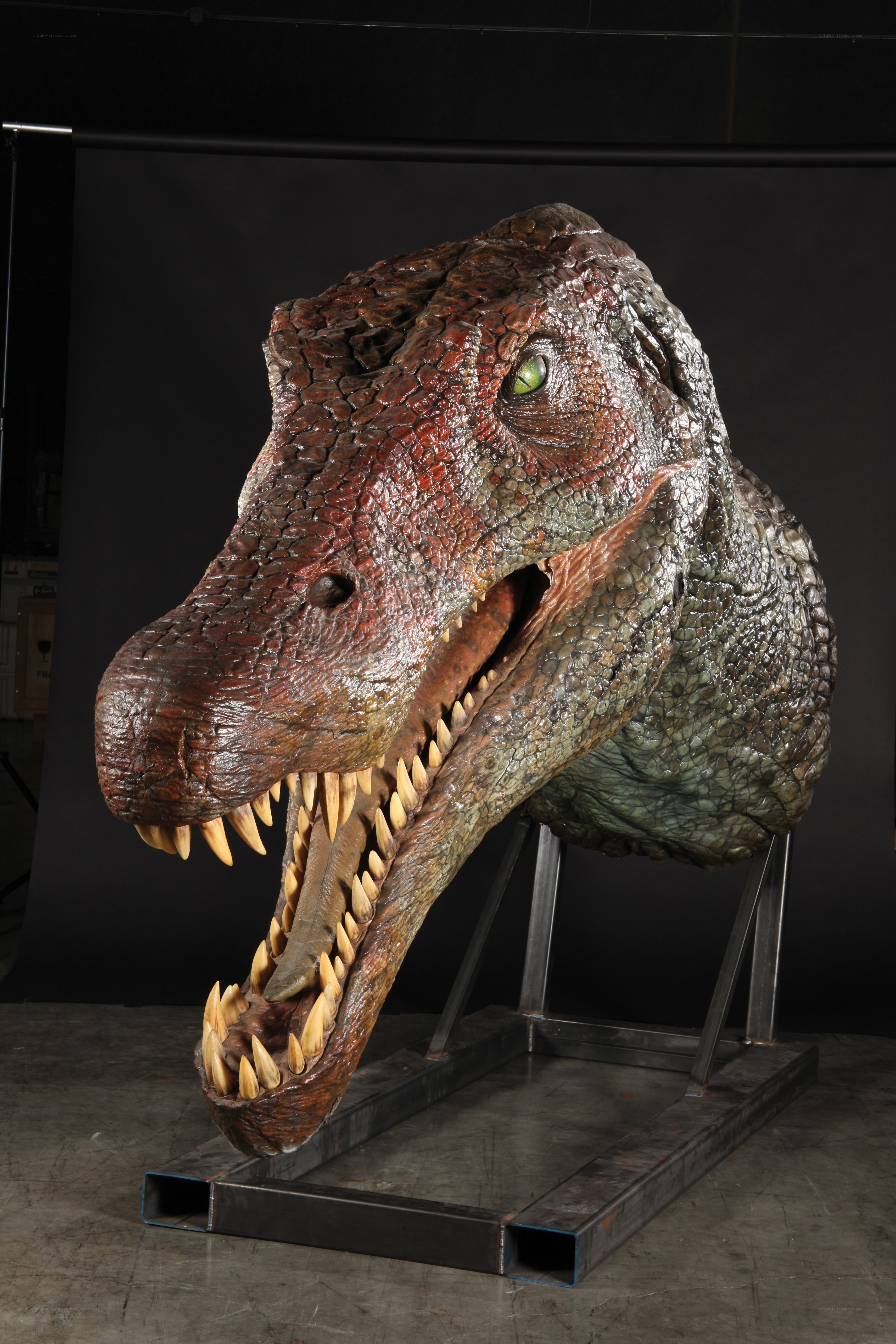 Dinosaur head sculpture