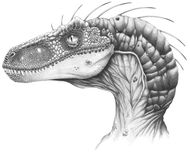 dinosaur head sketch