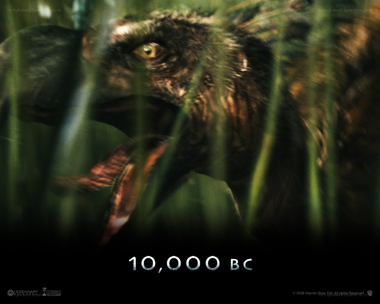 Dinosaur in tall grass