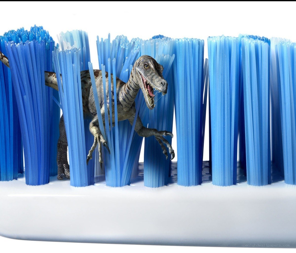 Dinosaur in toothbrush bristles