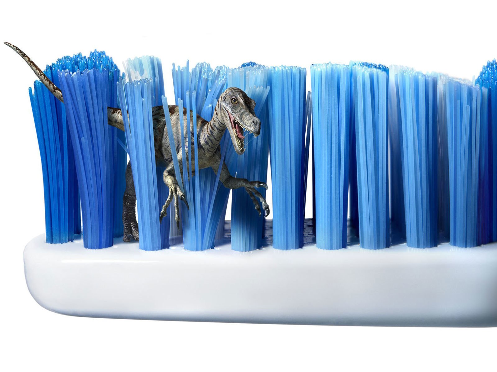 Dinosaur in toothbrush bristles