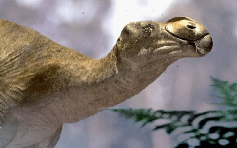 Dinosaur Model