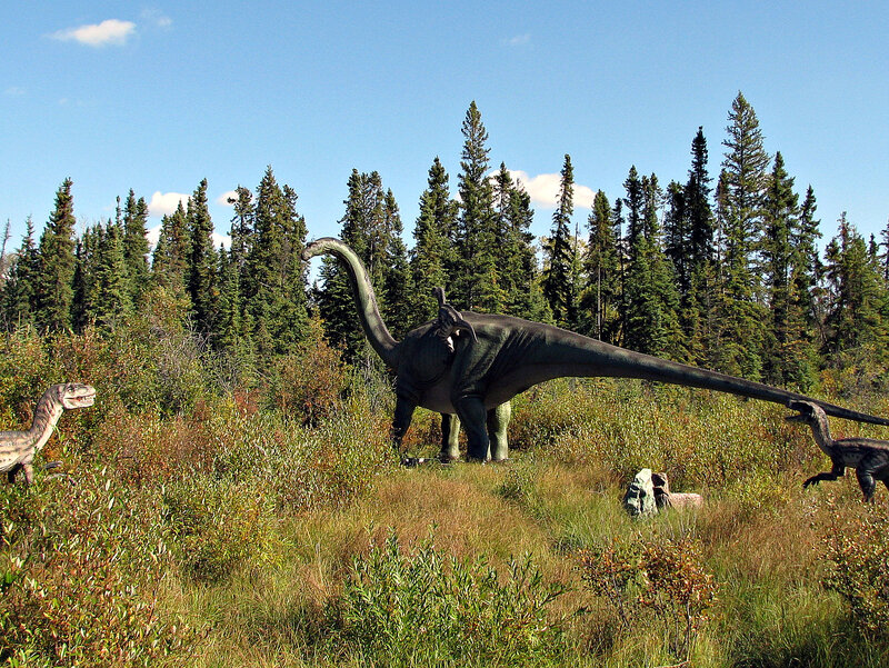 Dinosaur Models in Field