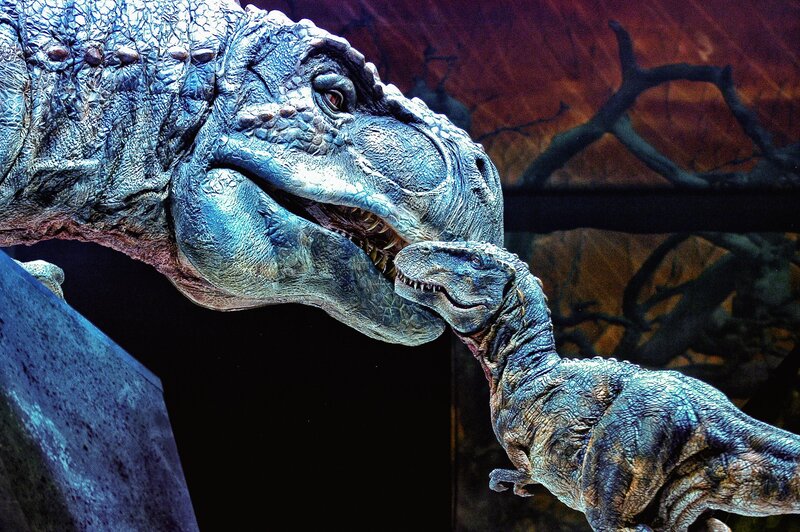 Dinosaur Models Interacting — Blue, Dramatic