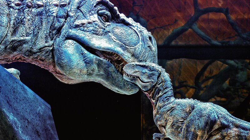 Dinosaur models interacting