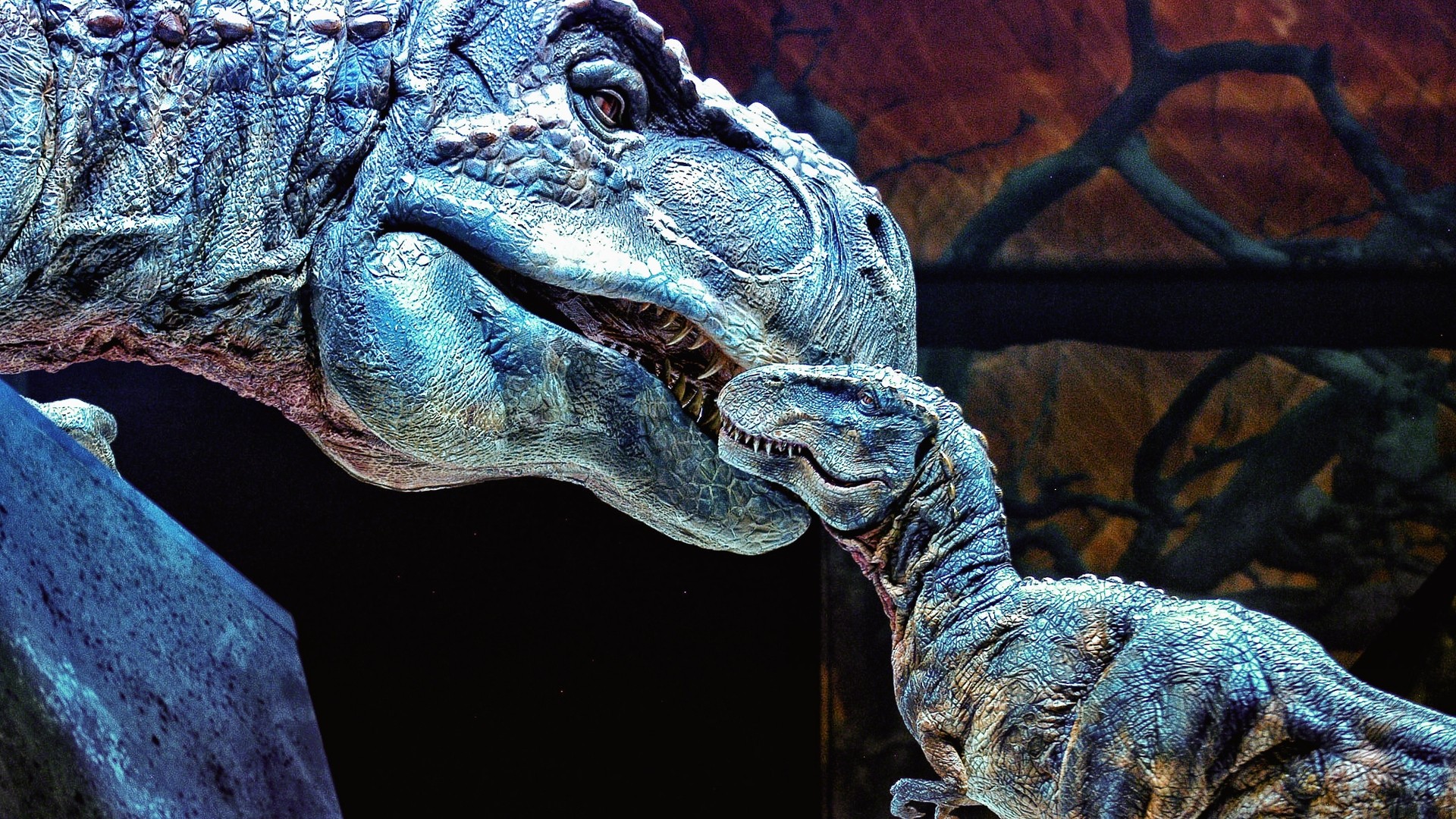 Dinosaur models interacting