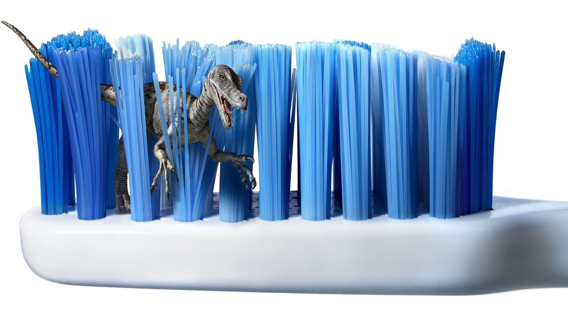 dinosaur on toothbrush bristles