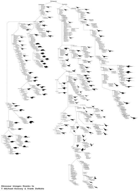 Dinosaur Phylogenetic Tree