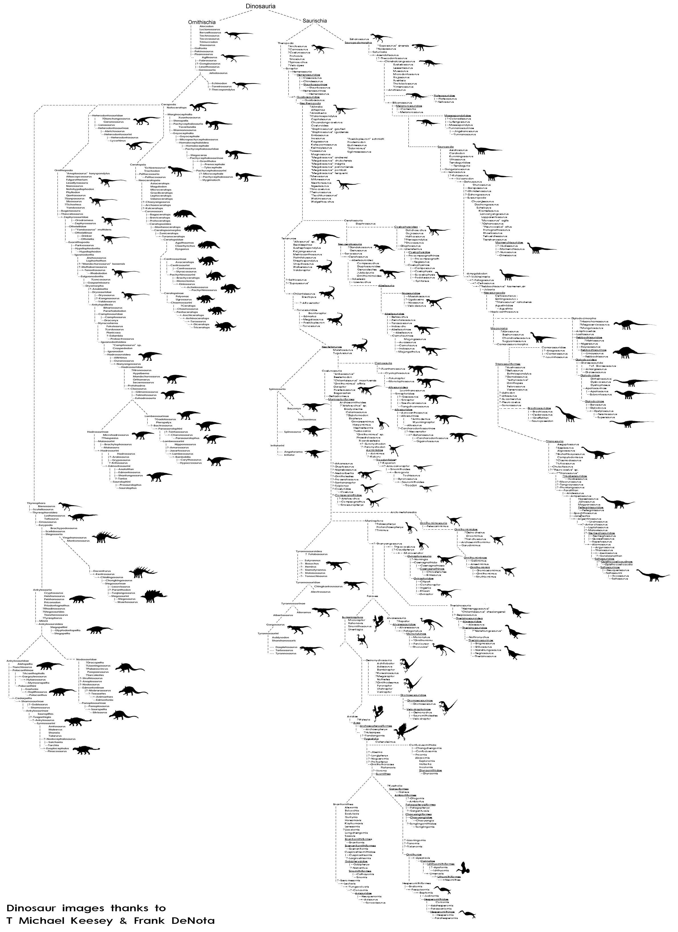 Dinosaur Phylogenetic Tree