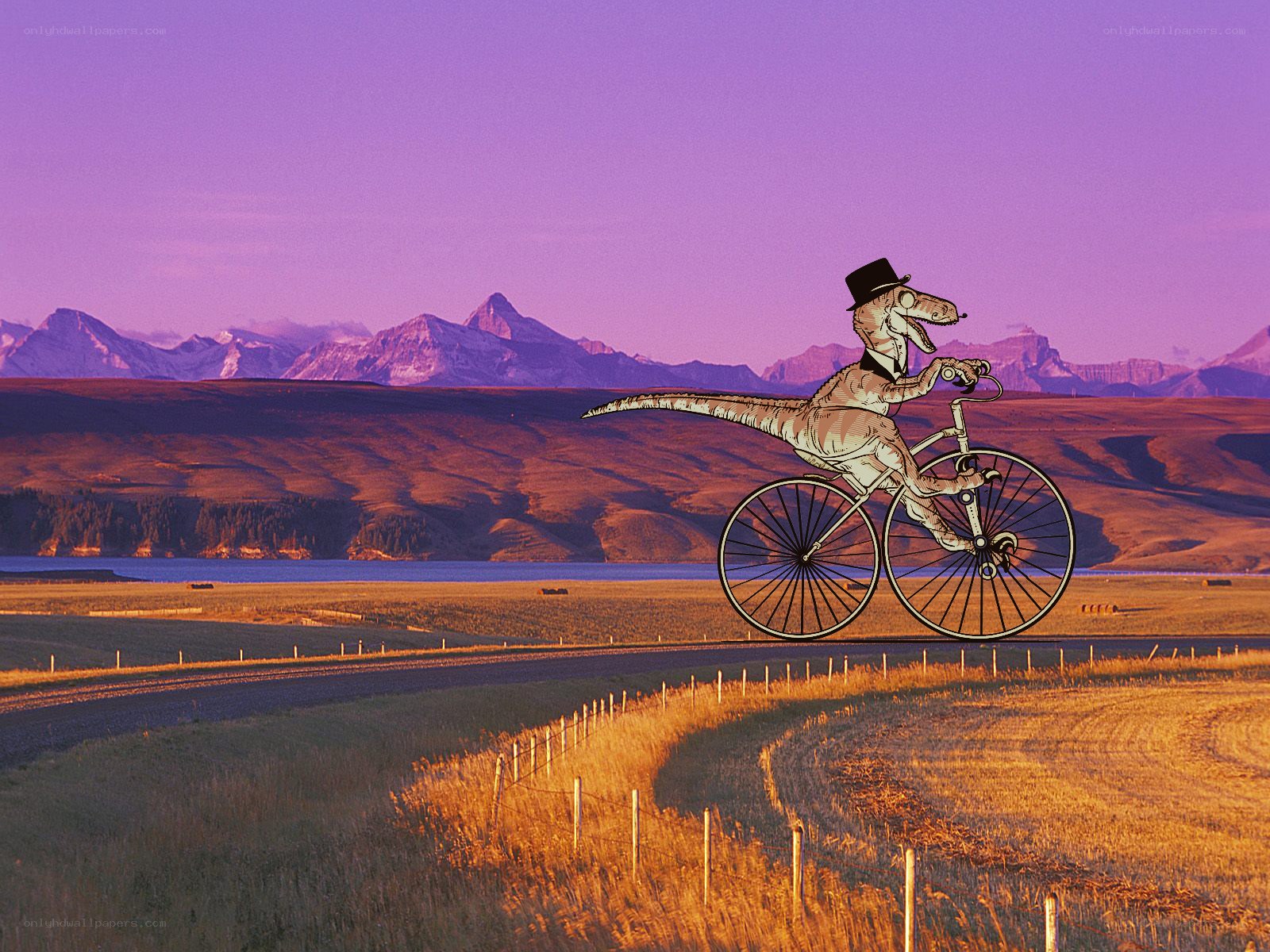 dinosaur riding a bicycle