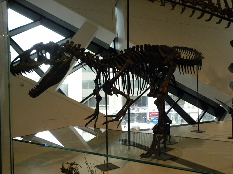 Dinosaur Skeleton Exhibit — Black