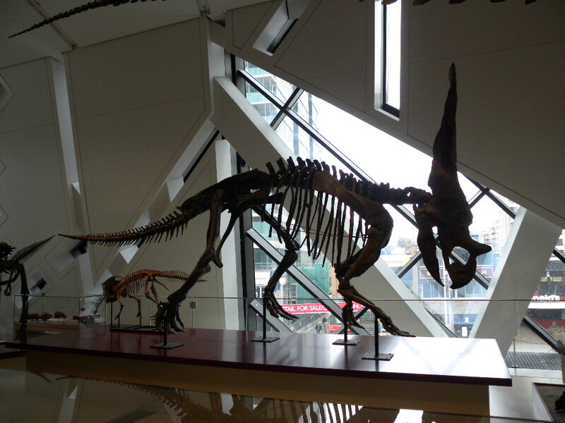 Dinosaur Skeleton Exhibit — Brown