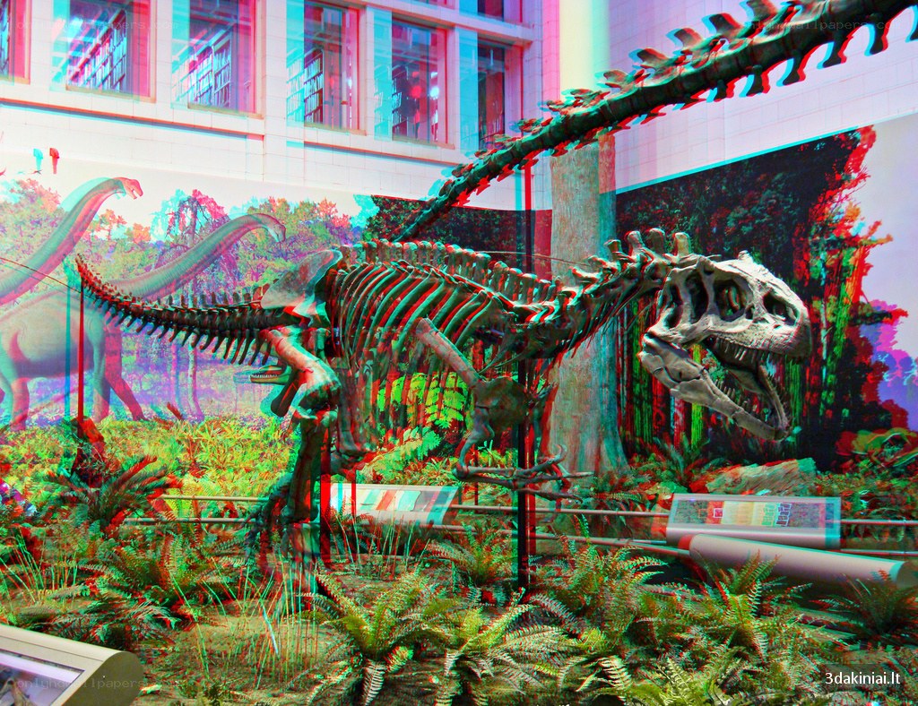 Dinosaur skeleton exhibit