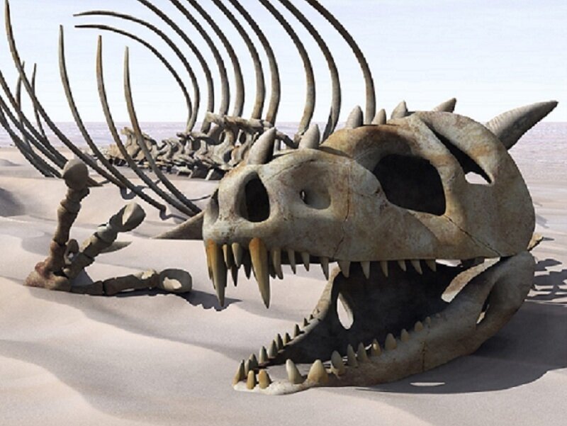Dinosaur skeleton in desert