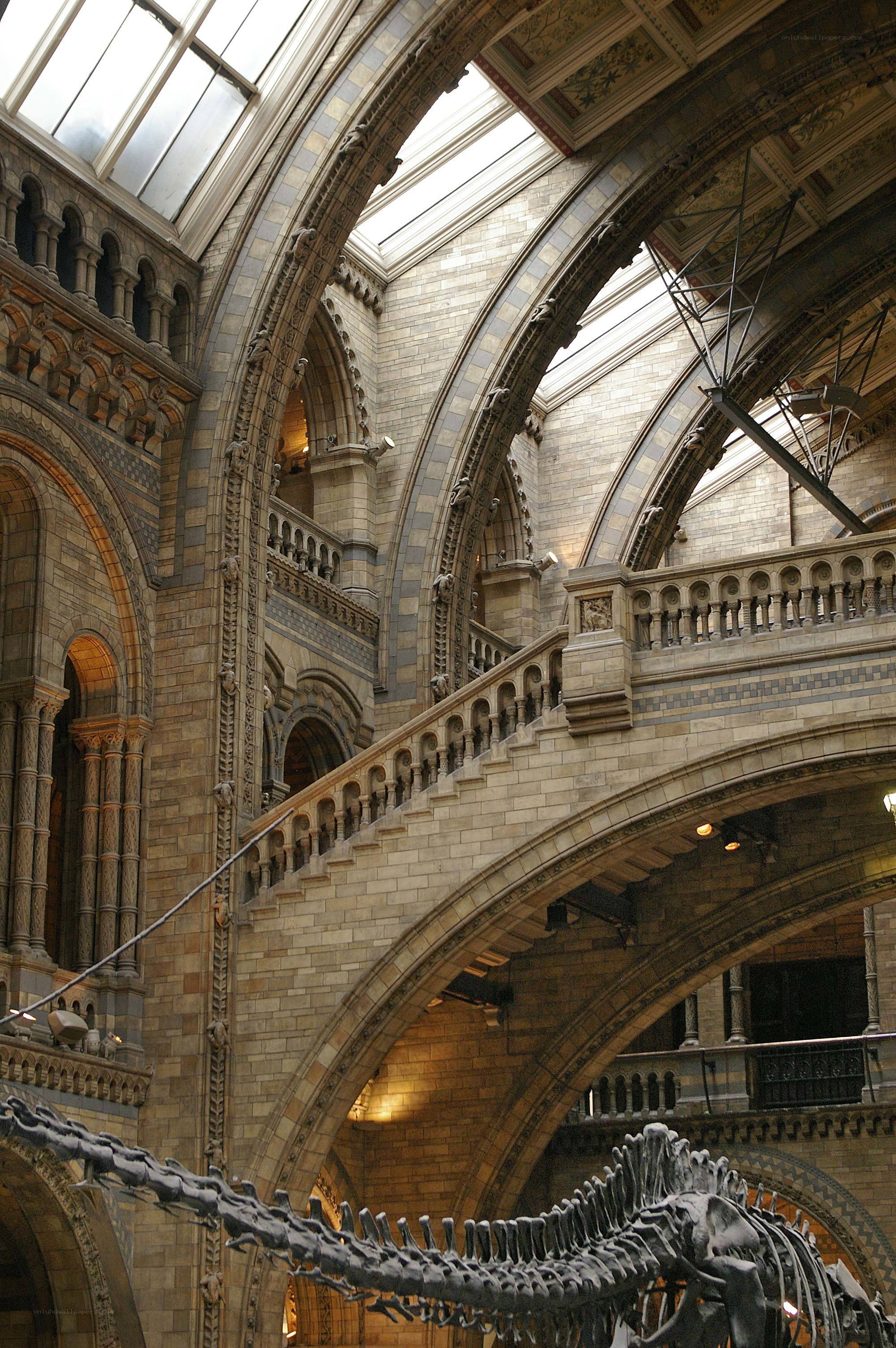 Dinosaur skeleton in grand hall