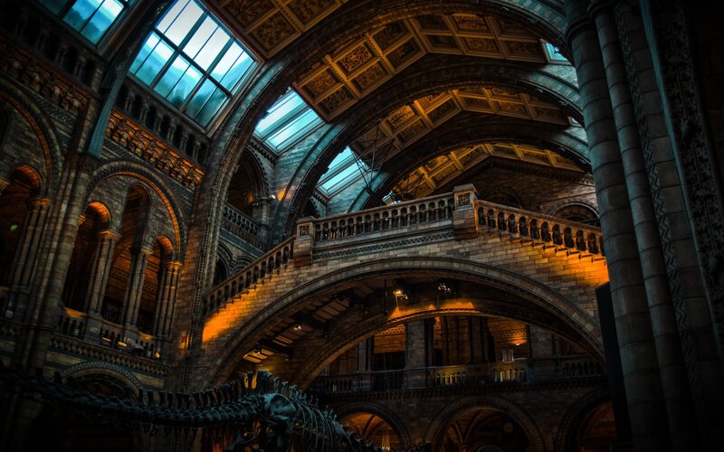 Dinosaur Skeleton in Hall