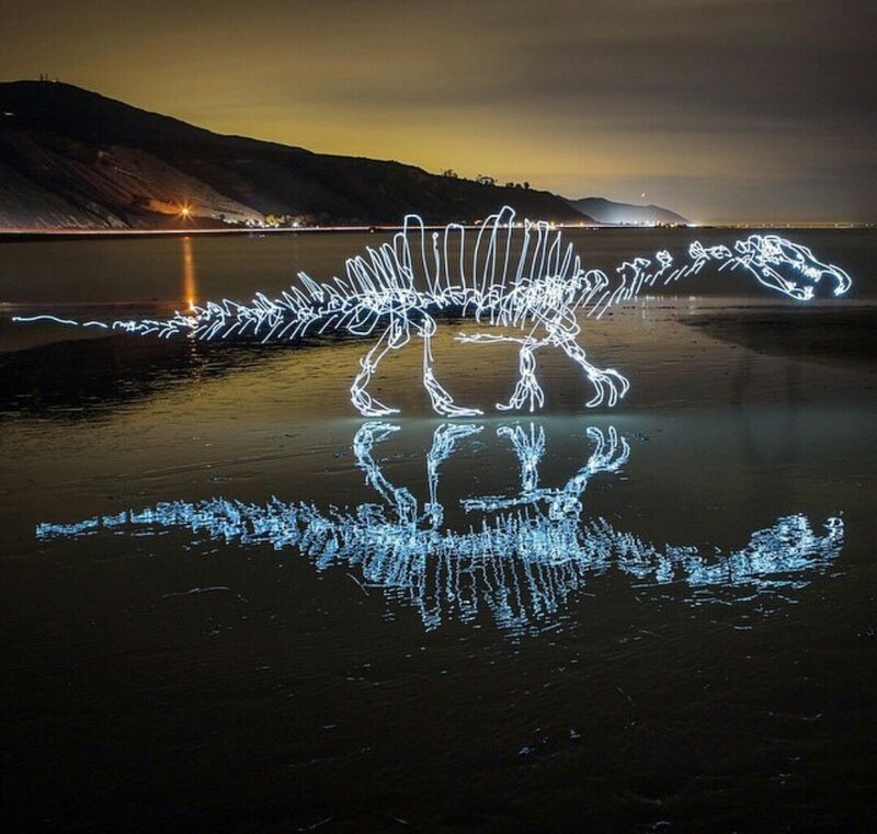 Dinosaur Skeleton Light Painting